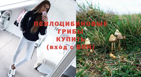 apvp Белоозёрский