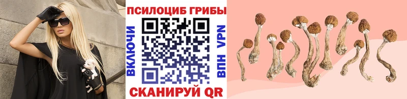 Псилоцибиновые грибы прущие грибы Куртамыш